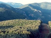 EXCURSION TO PUNTA CALAMIXI – FOREST IS CANNONERIS – DOMUS DE MARIA – SUNDAY DECEMBER 9