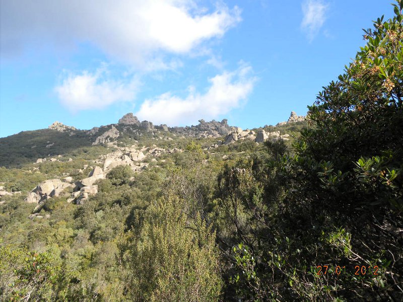 sent giallo-sent verdino800