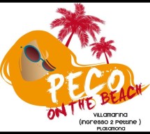<!--:it-->NOTTE DOPO GLI ESAMI 2013 – PECO ON THE BEACH – MERCOLEDI 10 LUGLIO 2013<!--:--><!--:en-->NIGHT AFTER THE EXAMS – PECO ON THE BEACH – WEDNESDAY JULY 10th<!--:-->