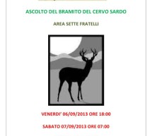 <!--:it-->ASCOLTO DEL BRAMITO DEI CERVI NELLA FORESTA DEI SETTE FRATELLI – 6-7 SETTEMBRE 2013<!--:--><!--:en-->LISTENING THE DEER IN THE FOREST SETTE FRATELLI – SEPTEMBER 6 TO 7 <!--:-->