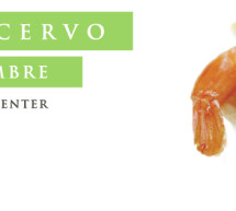 <!--:it-->PORTO CERVO FOOD FESTIVAL – PORTO CERVO – 21-22 SETTEMBRE 2013<!--:--><!--:en-->PORTO CERVO FOOD FESTIVAL – PORTO CERVO – SEPTEMBER 21 TO 22<!--:-->