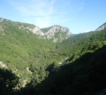 <!--:it-->ESCURSIONE IN MOUNTAIN BIKE ALLE GROTTE SAN GIOVANNI E FORESTA DEL MARGANAI – SABATO 25 GENNAIO 2014<!--:--><!--:en-->EXCURSION WITH MOUNTAIN BIKE IN SAN GIOVANNI MINES AND MARGANAI FOREST – SATURDAY JANUARY 25,2014<!--:-->