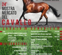 <!--:it-->24° MOSTRA MERCATO DEL CAVALLO – LACONI – 28-29 GIUGNO 2014<!--:--><!--:en-->24th HORSE EXHIBITION – LACONI – JUNE 28 TO 29,2014<!--:-->