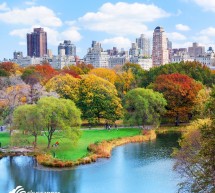 <!--:it-->IN AUTUNNO VOLA A NEW YORK – PRENOTA SUBITO<!--:--><!--:en-->IN AUTUMN FLY TO NEW YORK – BOOK NOW<!--:-->