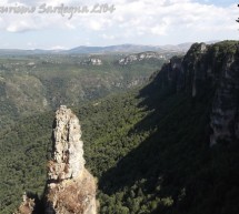 <!--:it-->ESCURSIONE ALLA FORESTA DI CORONGIA GADONI – DOMENICA 28 SETTEMBRE 2014<!--:--><!--:en-->EXCURSION TO CORONGIA GADONI FOREST – SUNDAY SEPTEMBER 28,2014<!--:-->