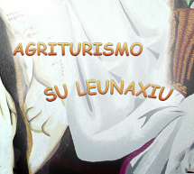 IL PRANZO DELLA DOMENICA -AGRITURISMO SU LEUNAXIU – SOLEMINIS – DOMENICA 8 MARZO 2015