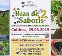 BIAS DE SABORIS 2 – COLLINAS – DOMENICA 29 MARZO 2015