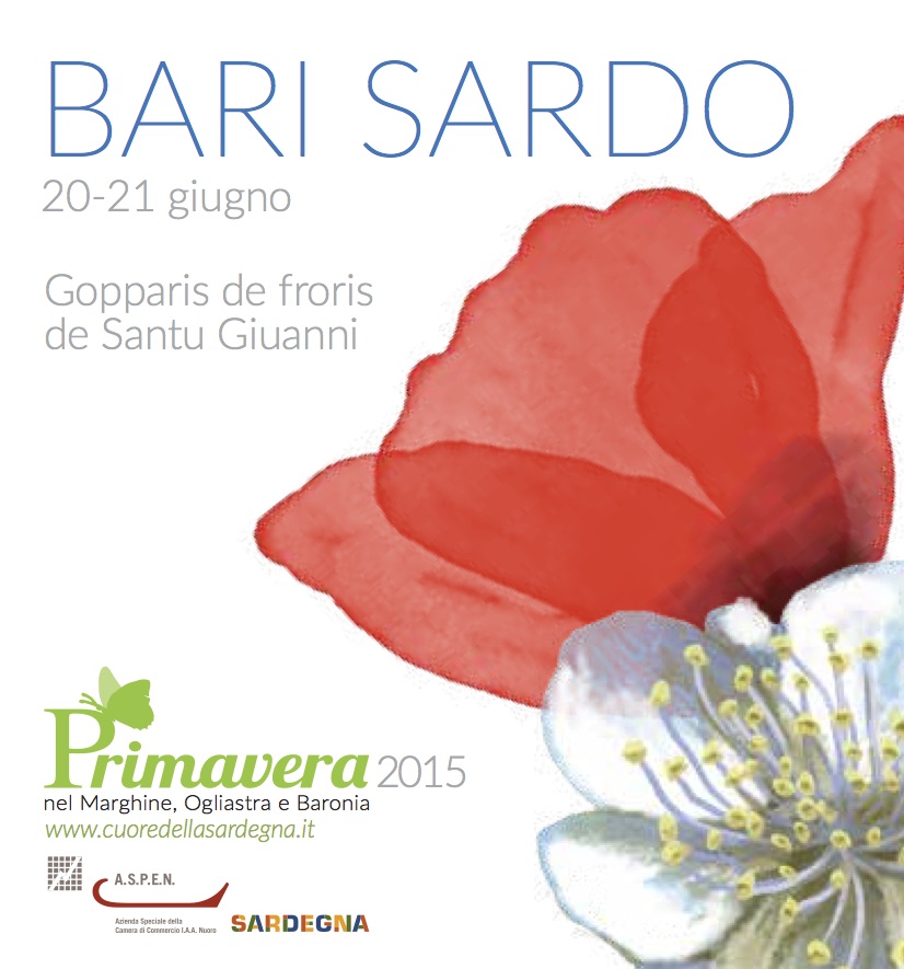 brochure_barisardo_web