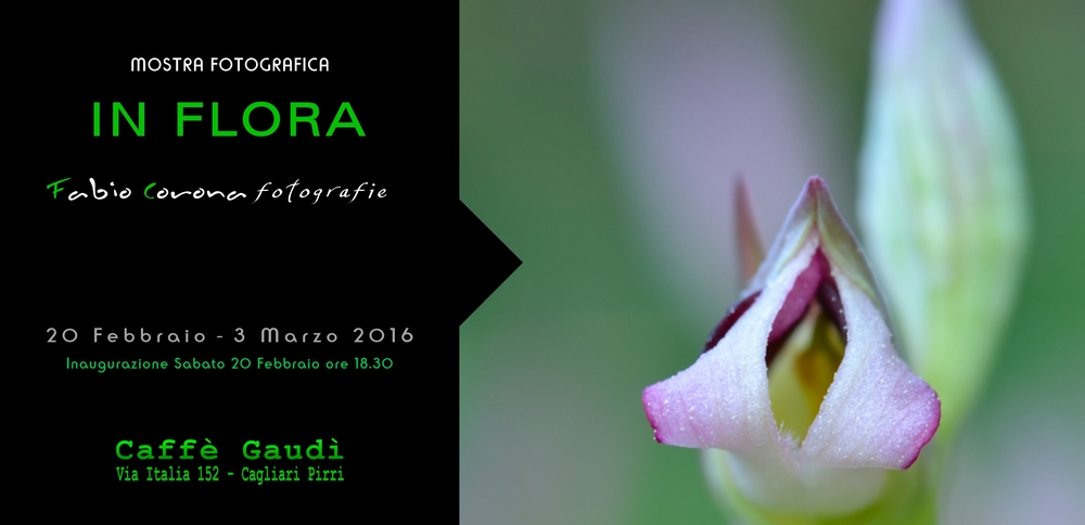 mostra in flora gaudì