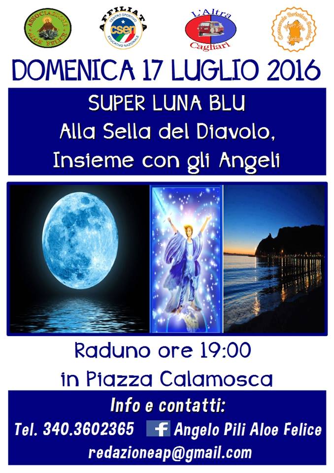 13615176_1656460988008778_2877894612241985942_n