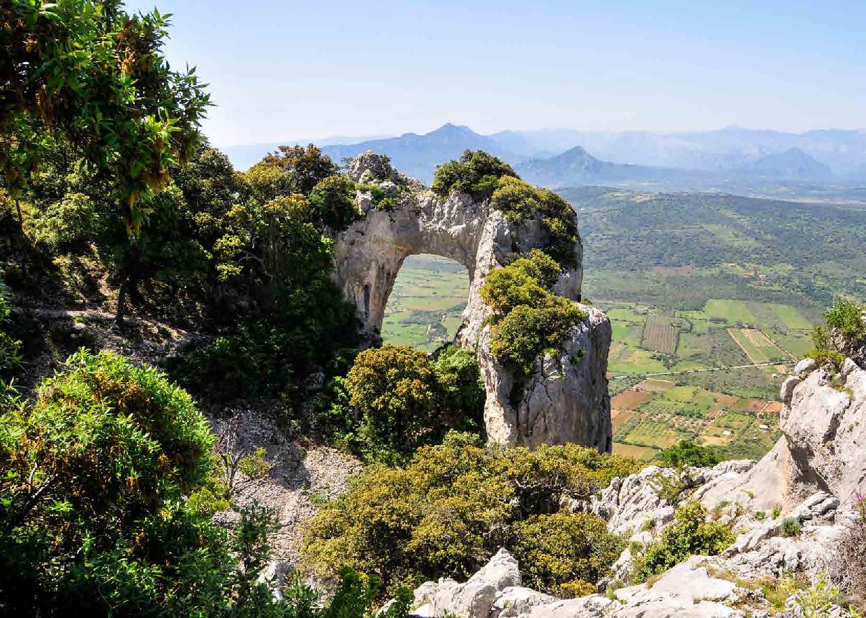 brochure-galtelli-2017-page-003