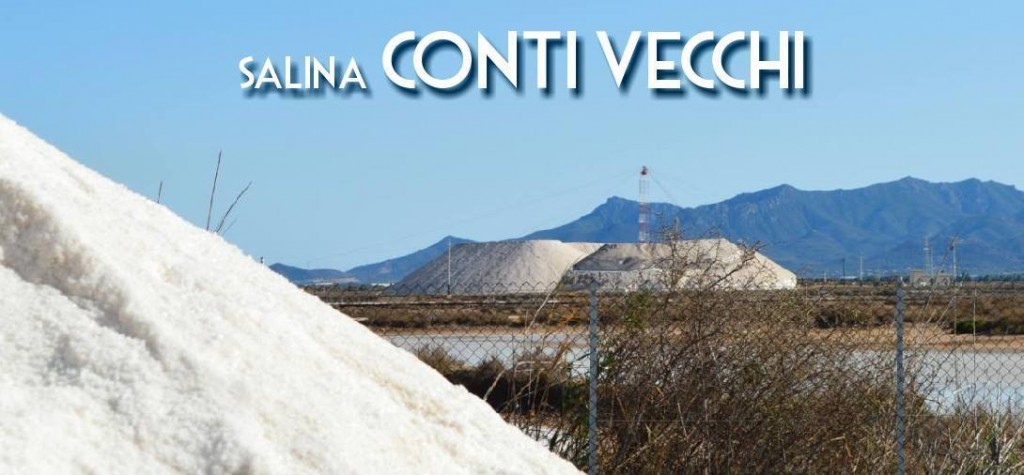SALINECONTIVECCHI
