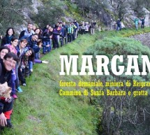 ESCURSIONE ALLA FORESTA MARGANAI – DOMENICA 10 GIUGNO 2018