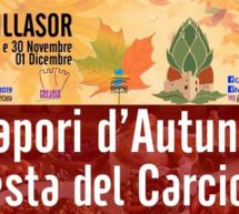 FESTA DEL CARCIOFO – VILLASOR – 29-30 NOVEMBRE E 1 DICEMBRE 2019